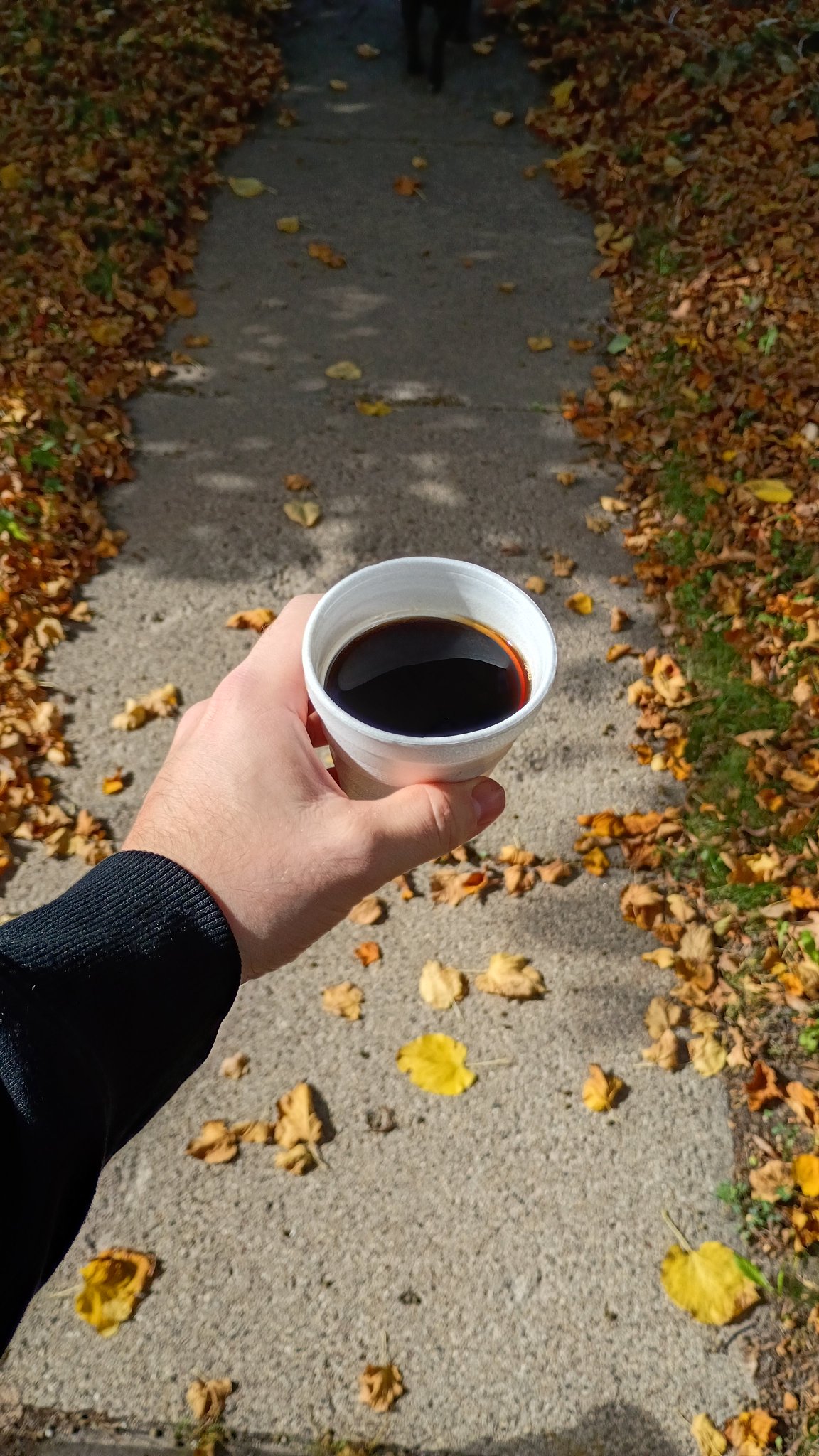 COFFEE - mantard's most-liked coffee post on X